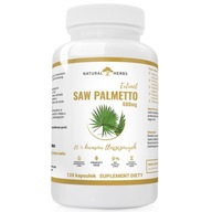 Suplement diety Alto Pharma SAW PALMETTO 600mg PALMA SABAŁOWA 120 szt.