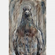 Gołąb obraz na płótnie 55x80 ptak miejski abstrakcja