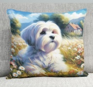 Poduszka 40/40cm Maltańczyk Maltese