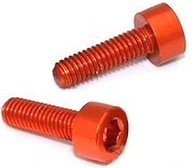 Śruby montażowe do koszyka bidonu 2 szt. na IMBUS