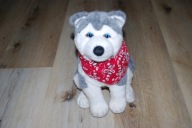 pluszak maskotka pies piesek fajny Haski Husky