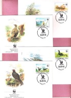 Azerbejdżan 1994, FDC 4kop. ptaki, cietrzew kaukaski, WWF