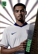 Panini Top Class 2025 Karta kolekcjonerska 254 - Levi Colwill