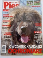 Przyjaciel Pies nr 10 2010 Owczarek kaukaski + plakaty Owczarek i Whippet