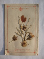 JEROZOLIMA KWIATY ŚW. JANA ZIEMIA ŚWIĘTA przedw. ŚW. OBRAZEK-RELIKWIA