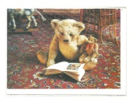 Karnet - Mirja de Vries, Dwa pluszowe misie i książka z obrazkami ...