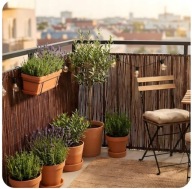 MATA WIKLINOWA 140x500cm WIKLINA POLSKI PRODUCENT GĘSTA OSŁONA NA BALKON