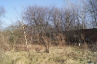 Działka, Racibórz, Raciborski, 775 m²