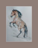 MALARSTWO-PORTRET KONIA-GNIADY-AKWARELA PASTEL