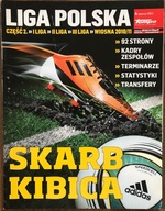 SKARB KIBICA I, II, III LIGA POLSKA WIOSNA 2011 TEMPO, PRZEGLĄD SPORTOWY