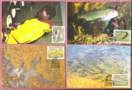 Afryka Pd. Ciskei 1989 MC FDC 4szt. ryby, pstrąg tęczowy, hodowla