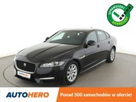 Jaguar XF GRATIS! Pakiet Serwisowy o wartości