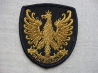 ODZNAKA UNIKALNA NASZYWKA HAFTOWANY ZŁOTY ORZEŁ STRAŻY MIEJSKIEJ 1998 ROK