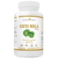 Suplement diety Alto Pharma GOTU KOLA 500mg kapsułki 60 szt.