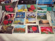 PEREŁKI Święty Paweł 16 niesamowitych książeczek, cytatów, drogowskazów N-8