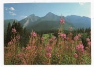 Pocztówka Słowacja Wysokie Tatry panorama Tatr Bielskich