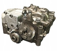 Pompa Oleju 2.0 TDI A4 A6 Q5 Passat B6 WAŁEK 100mm