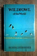 Wildfowl of the World