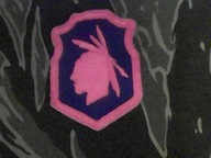 NASZYWKA US ARMY 98TH DYWIZJA