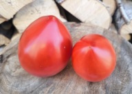 Pomidor Sheryl's Portuguese Red Heart nasiona kolekcjonerskie