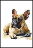 A2 OBRAZ PLAKAT PIES PLAKAT BULDOG FRANCUSKI