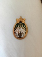 Stara odznaka 13 regiment dragonów spadochronowych kawaleria husarzy