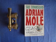 Adrian Mole Czas cappuccino Sue Townsend