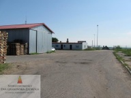 Działka, Różyny, Pszczółki, Gdański, 5000 m²