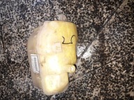 46762664 Fiat Palio zbiorniczek spryskiwaczy