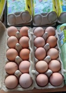 Jajka wiejskie, jaja wiejskie wolny wybieg ekologiczne 10 sztuk