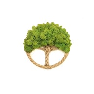 Drzewko Szczęścia Chrobotek, żywy obraz handmade, dekoracja na ścianę