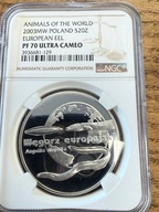 20 zł Węgorz europejski 2003 Zwierzęta Świata NGC PF 70 MAX NOTA IDEAŁ