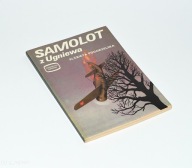 Miniatury lotnicze Samolot z Ugniewa