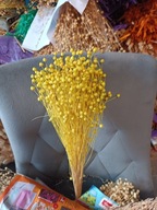 Len naturalny suszony dekoracje zboże susz kwiaty jasno żółty