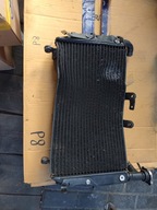 Triumph Tiger 1200 chłodnica wody wentylator