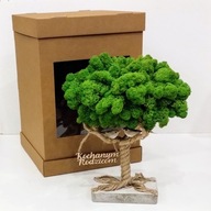 DRZEWKO SZCZĘŚCIA CHROBOTEK, oryginalny prezent na każdą okazję 40cm.