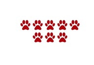 Osiem łapek osiem gwiazd PiS - 15cm anty pis naklejka łapki #031