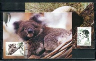 A57590)Chiny: Maksimum Karta 2631 + Australia 1497, Panda / Koala