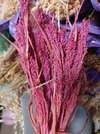 proso naturalne suszone różowe trawy zboże kwiaty kompozycje bukiety