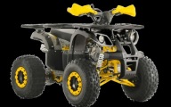 Barton Thor Quad dla dziecka Barton Thor 125 cc Benzyna 12KM