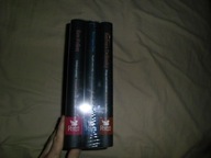 Mistrzowie Powieści 3 książki Barbara Delinsky, Ken Follett, Mary Higgins C