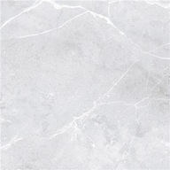 MALIBU SILVER POLER REKTYFIK 60*60 G1 m2 zamów