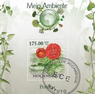 Mozambik 2010 kasowany cena 1,90 zł. - flora