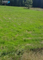Działka, Istebna, Istebna, Cieszyński, 7282 m²