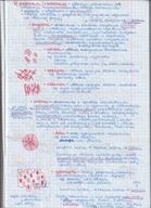 NOTATKI MATURALNE Z BIOLOGII cz. 2 - 4-letnie liceum