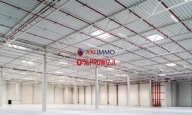 Magazyny i hale, Kobyłka, Wołomiński, 5500 m²