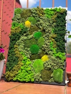 Obraz z mchu i chrobotka "Oddech Lasu"