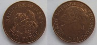 Jersey 2 penny 2008