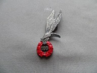 ODZNAKA GAPA SKOCZKA SPADOCHRONOWEGO-100 skoków - FORMACJA RATOWNICZA - 2