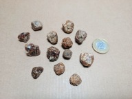 XS Granat Grossular var. HESSONIT - Vápenná, Czechy - 1szt.